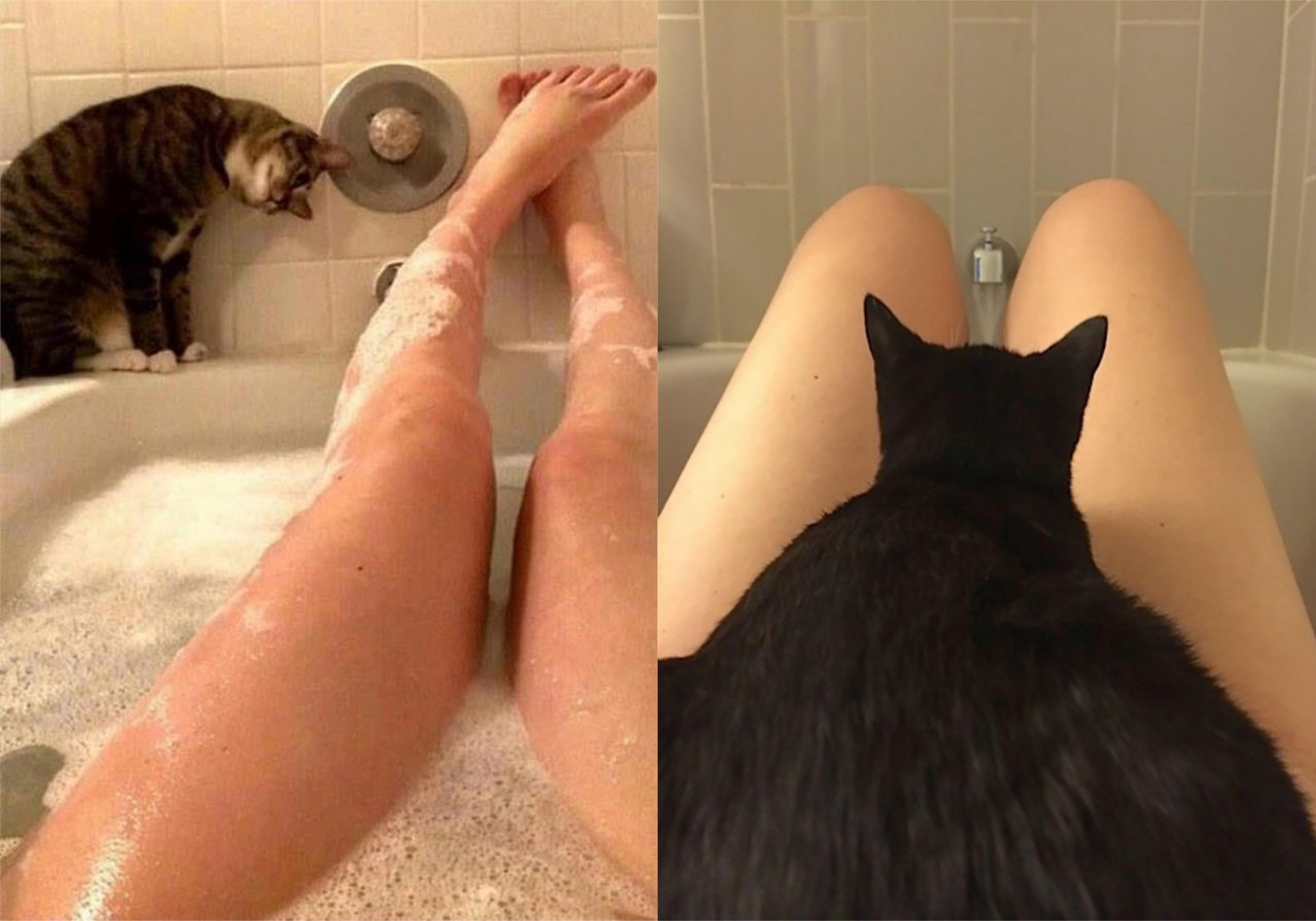  Фото Bored Panda 