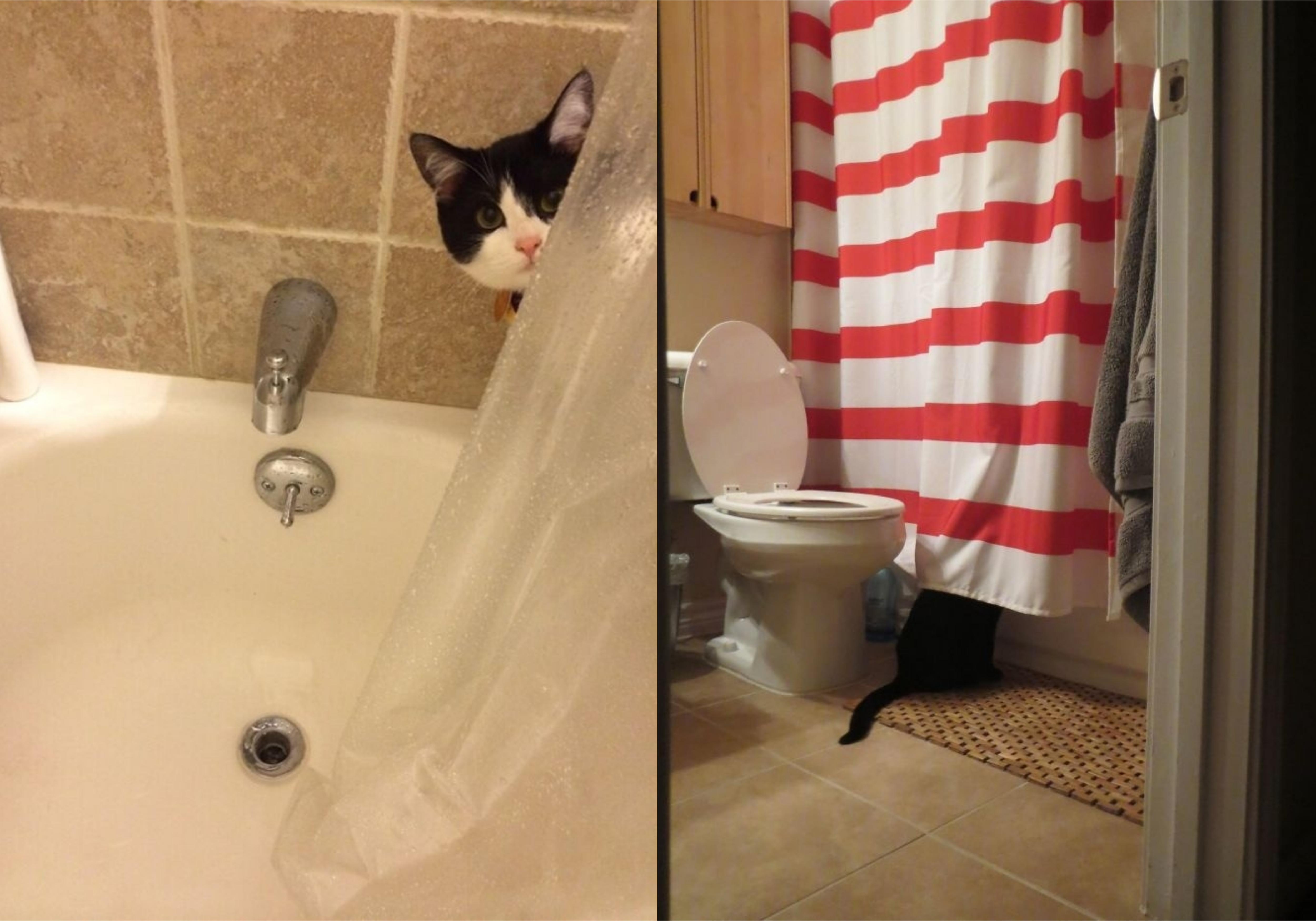  Фото Bored Panda 