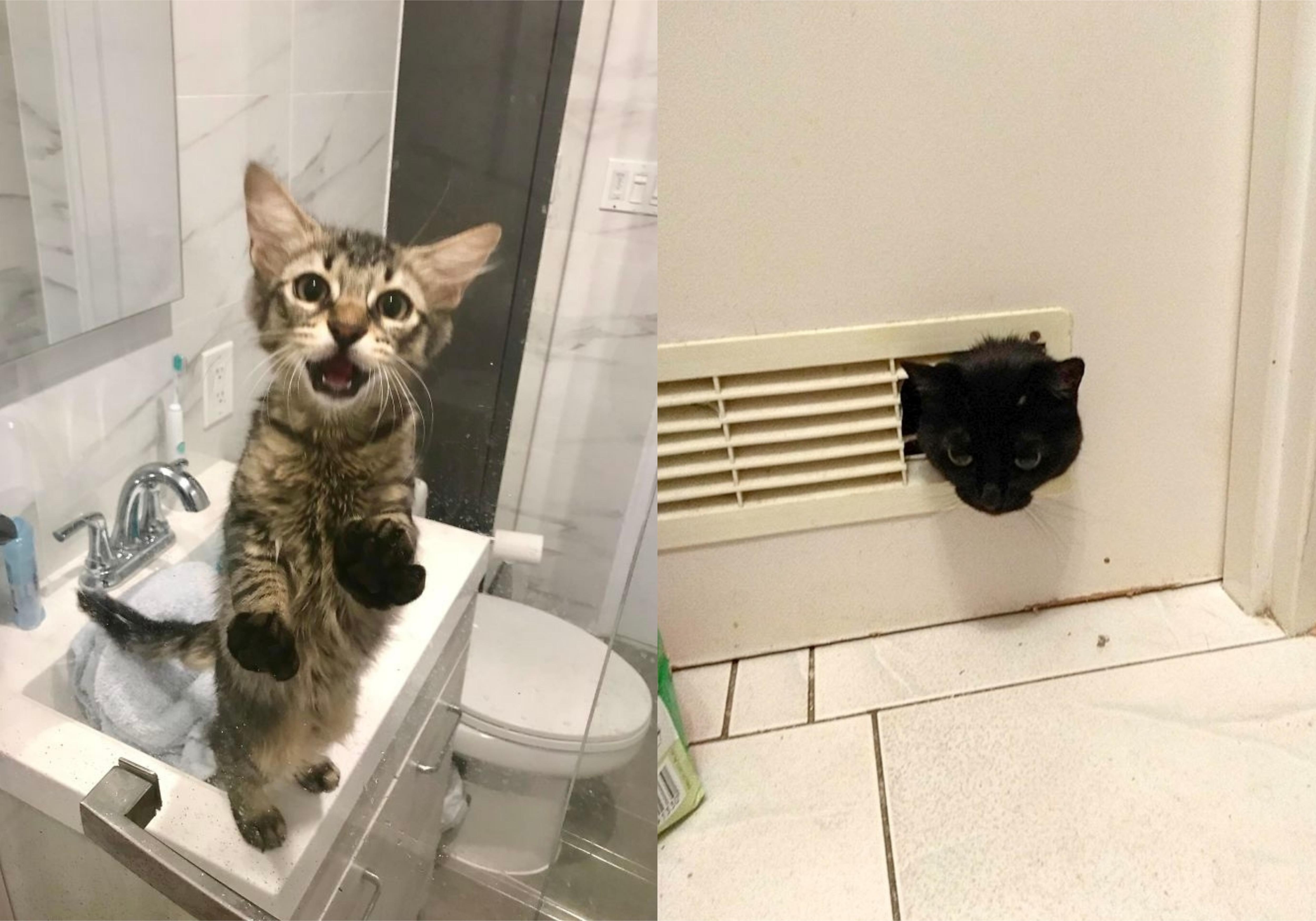  Фото Bored Panda 