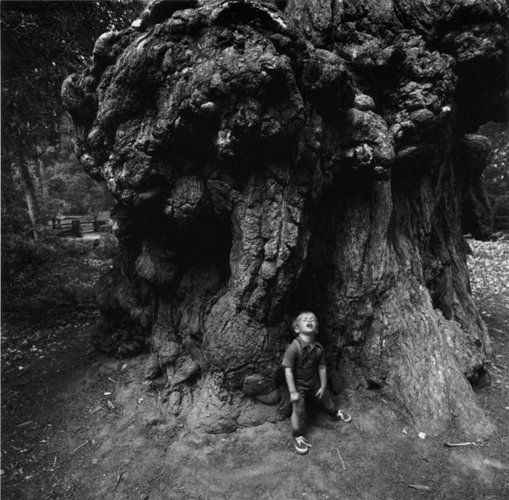 Фото © Arthur Tress