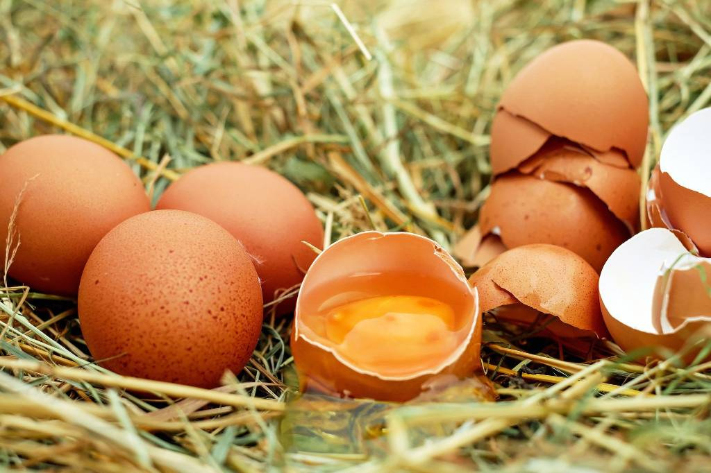 В Китае дали советы, какие яйца ни в коем случае нельзя есть