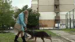 Чудесное возвращение. В Киеве женщина нашла свою собаку после 11 лет разлуки