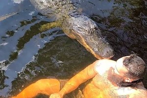 Смельчак хотел поплавать с аллигатором, но в одну секунду развлечение превратилось в сущий кошмар