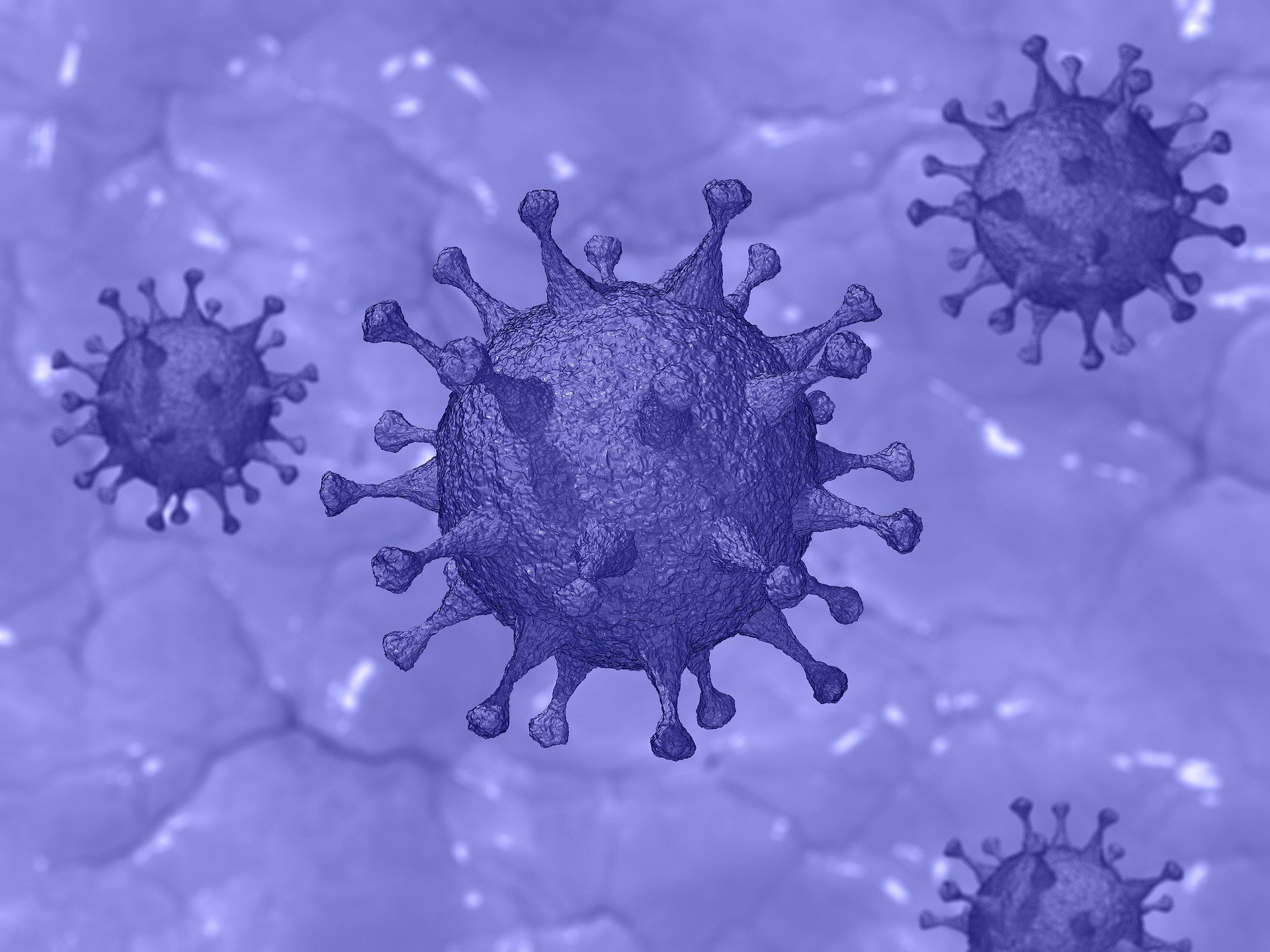 Раскрыт основной источник распространения коронавируса