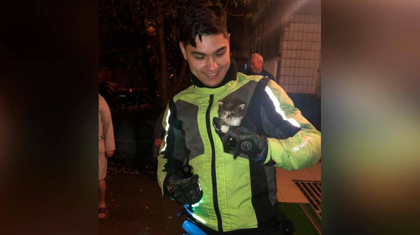 В Москве из ловушки вызволили котёнка. Хвостатый провалился в дыру у подъезда