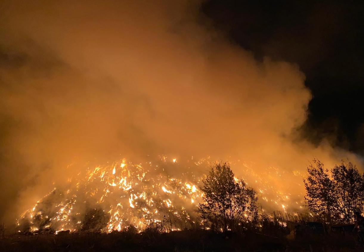 Фото © Росприроднадзор