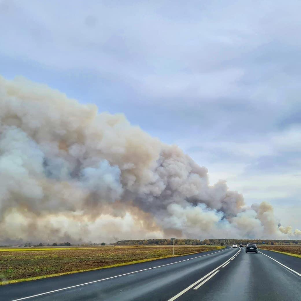 Фото © Instagram / svetlanoid