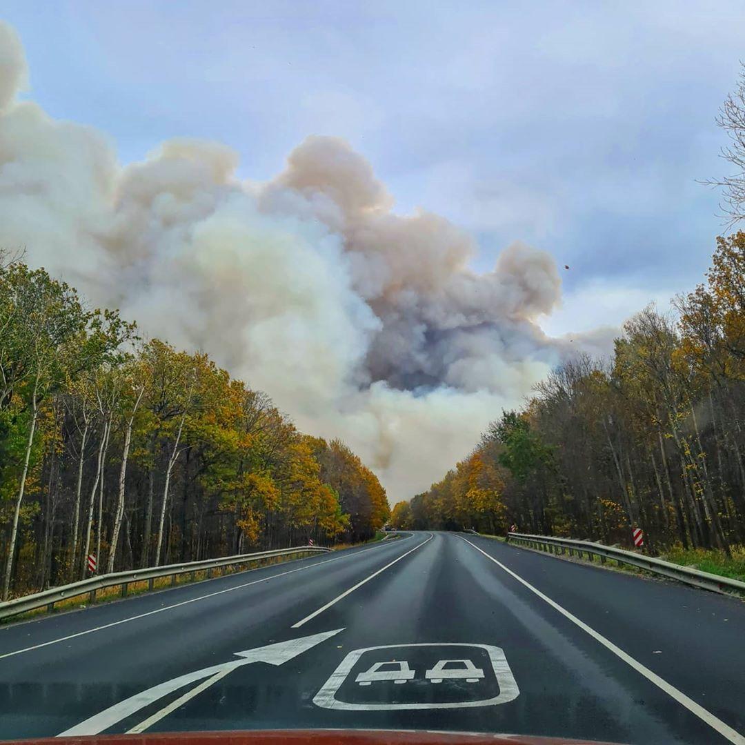 Фото © Instagram / svetlanoid