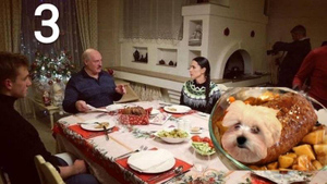"На президентстве собаку съел". Шпиц Лукашенко, который бегал по столу во время интервью, стал мемом