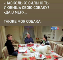 Собака на столе у лукашенко