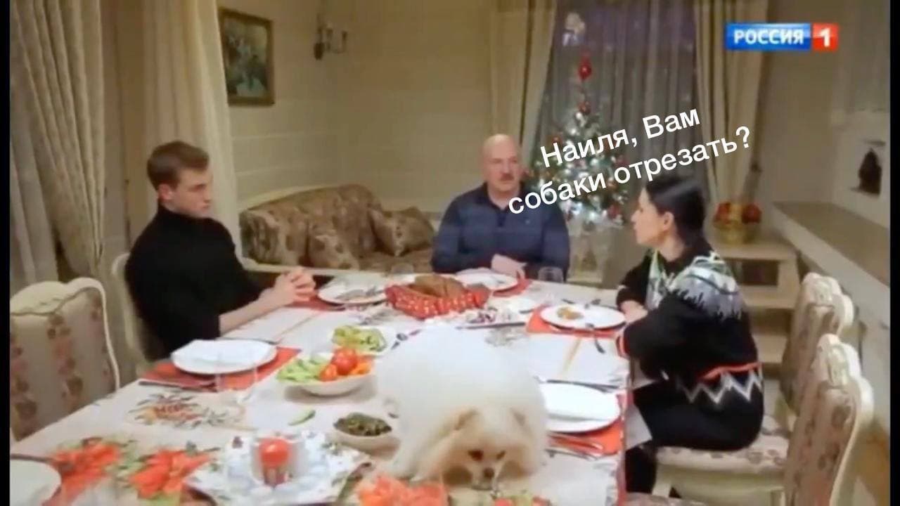 Собака на столе у лукашенко