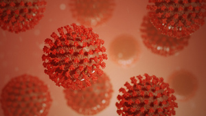 Учёные обнаружили фактор, влияющий на продолжительность и тяжесть заболевания коронавирусом