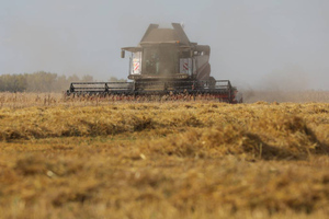 В России вдвое увеличат пошлину на экспорт пшеницы внутри квоты