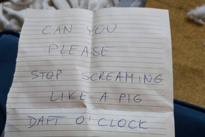 Соседи прислали девушке грубую записку о её ночных стонах, но смешной ответ не заставил долго ждать
