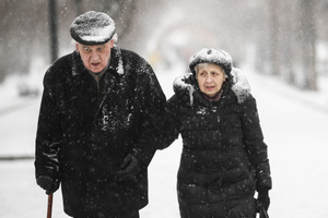 Россияне назвали сумму пенсии для комфортной жизни в старости