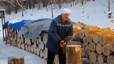 Лукашенко нарубил дров в крещенский вечер. Тот самый шпиц был рядом — видео
