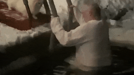 Под лай шпица Умки. Лукашенко в рубашке искупался в проруби на Крещение — видео