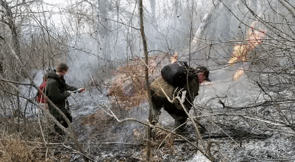 Жаркое начало года. Сотни человек привлечены к тушению лесных пожаров в районе Сочи — видео