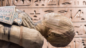 Настольная игра со смертью, 50 саркофагов и таинственная жена фараона. Что ещё раскопали в египетском некрополе — видео