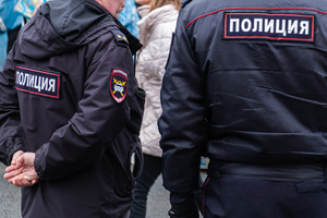 МВД проведёт проверку в отношении руководителей штабов Навального