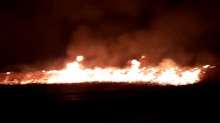 Под Анапой масштабный пожар охватил более двух тысяч квадратов зарослей камыша — видео