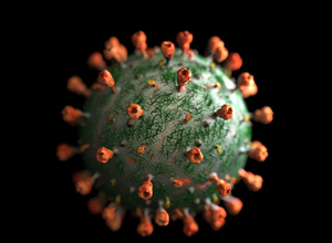 В России обнаружили более 1400 мутаций коронавируса