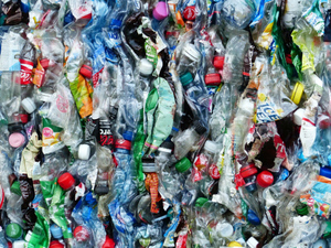Половину мусора в России составили пластиковые упаковки