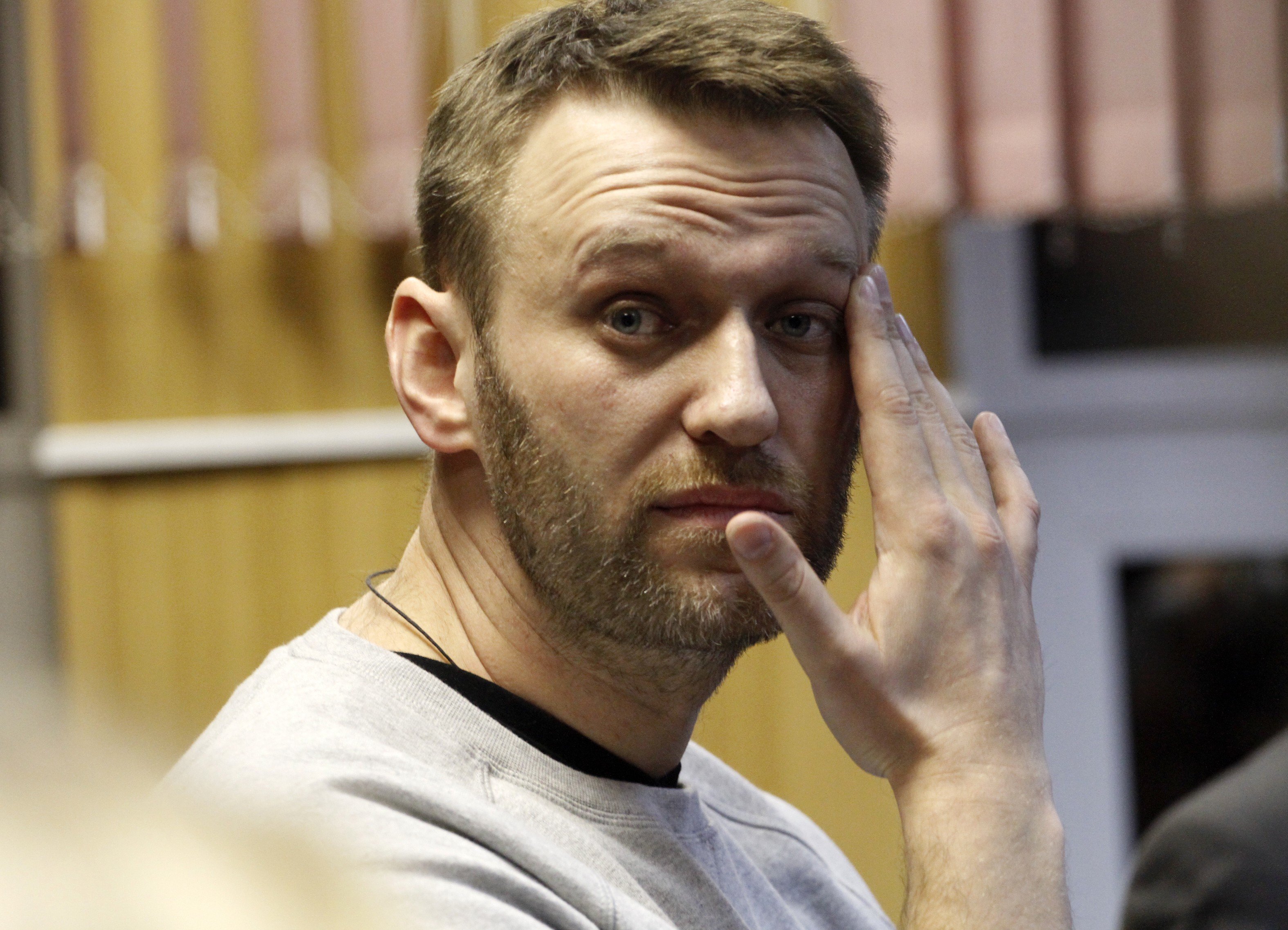 Подсчитана прибыль ФБК на расследовании Навального об особняке под Геленджиком