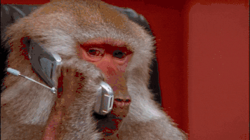 Россиянам рассказали, как защитить себя от звонков телефонных мошенников