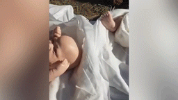 Власти Ставрополья опровергли сообщения о подмене тел погибших новорождённых куклами