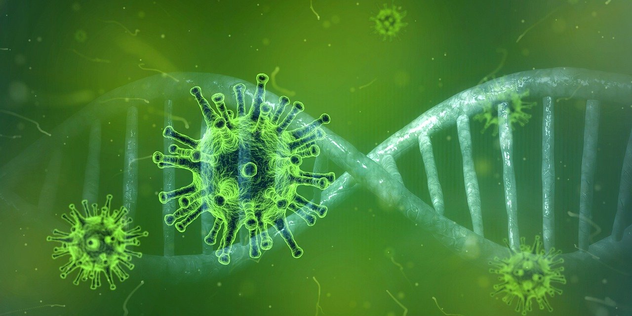 Учёные из США заявили о доказательствах искусственного происхождения коронавируса