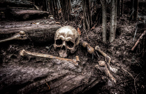Бесследно пропавшего четыре года назад уральца нашли закопанным в лесу