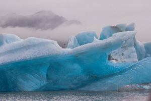 Учёные нашли во льдах Антарктиды неизвестных животных. Они похожи на губок