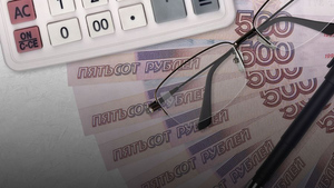 Данные о покупках россиян появятся в их личных кабинетах на портале налоговой