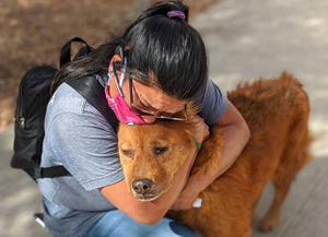 15 расплакавшихся хозяев, которые всё-таки встретились со своими собаками спустя годы после пропажи