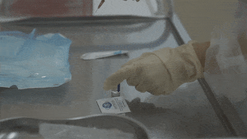 В Москве началась вакцинация бездомных от коронавируса