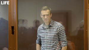 "Как слону дробина": Адвокат назвал слишком мягким приговор Навальному по делу о клевете на ветерана