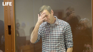 "Подсудимый легко отделался": эксперты оценили приговор Навальному по делу о клевете на ветерана