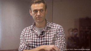 Европа против ЕСПЧ: как Навальный разделил европейцев