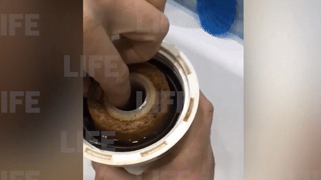 Жители подмосковной Балашихи обнаружили червей в водопроводной воде — видео