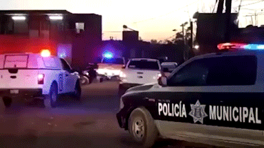 В Мексике 11 человек, распивавших спиртное у дороги, расстреляли неизвестные на автомобилях — видео