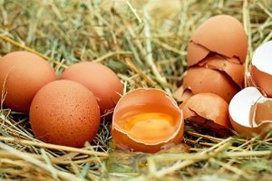 Врач рассказала о самом полезном способе приготовления яиц: холестерина можно не бояться