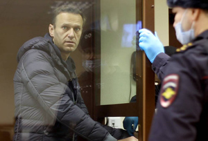 Песков: Сторонники Навального демонстрируют статус иноагента