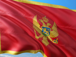 Суд в Черногории отменил приговор россиянам, обвинённым в попытке организации путча