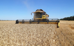 Кабмин РФ утвердил гибкую пошлину на экспорт пшеницы, кукурузы и ячменя