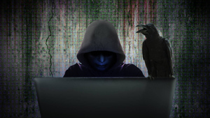 Жизнь за чужой счёт: откровения бывшего киберпреступника