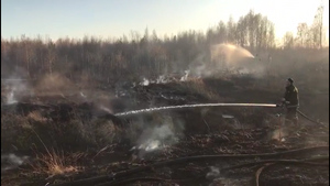 МЧС показало горящие торфяники, из-за которых часть Екатеринбурга превратилась в Сайлент Хилл