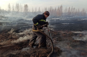В одном из районов Екатеринбурга ввели режим ЧС из-за горящего торфяника