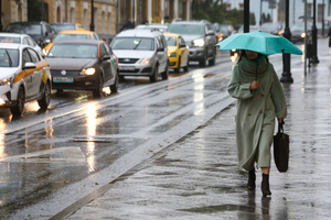 МЧС предупредило жителей Москвы о дожде и сильном ветре