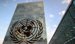 В ООН отреагировали на внесение в базу "Миротворца" 12-летней девочки